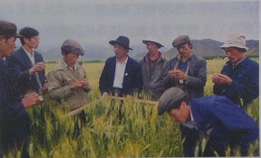 在拉萨工作期间,孔繁森高度重视科学技术推广。这是他和科研人员在田间研究科学种田。